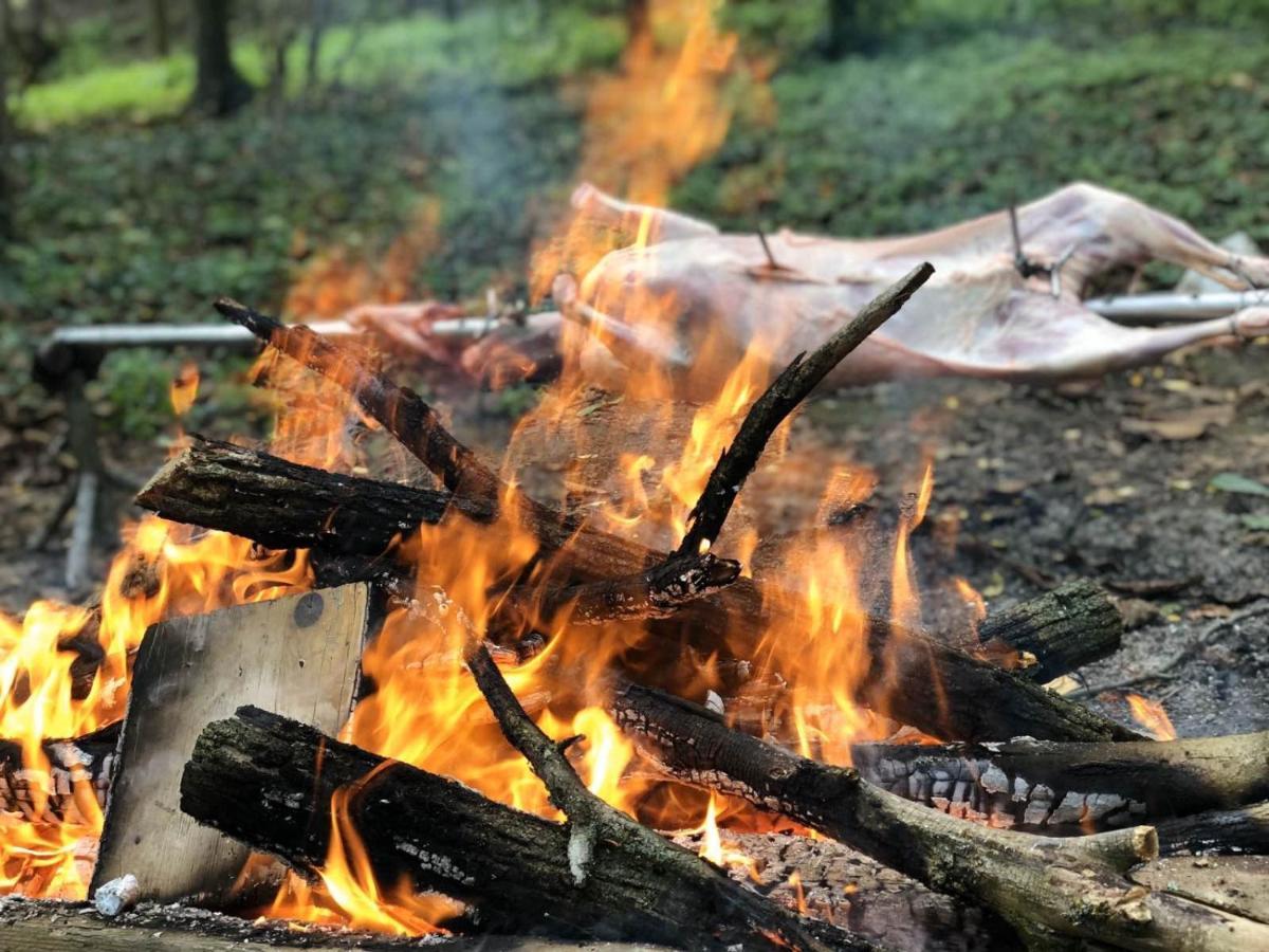 Baranja Black Hill'S Gajic Zewnętrze zdjęcie