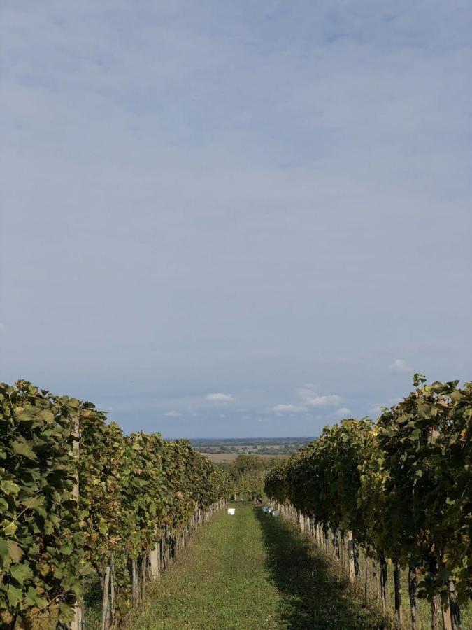 Baranja Black Hill'S Gajic Zewnętrze zdjęcie