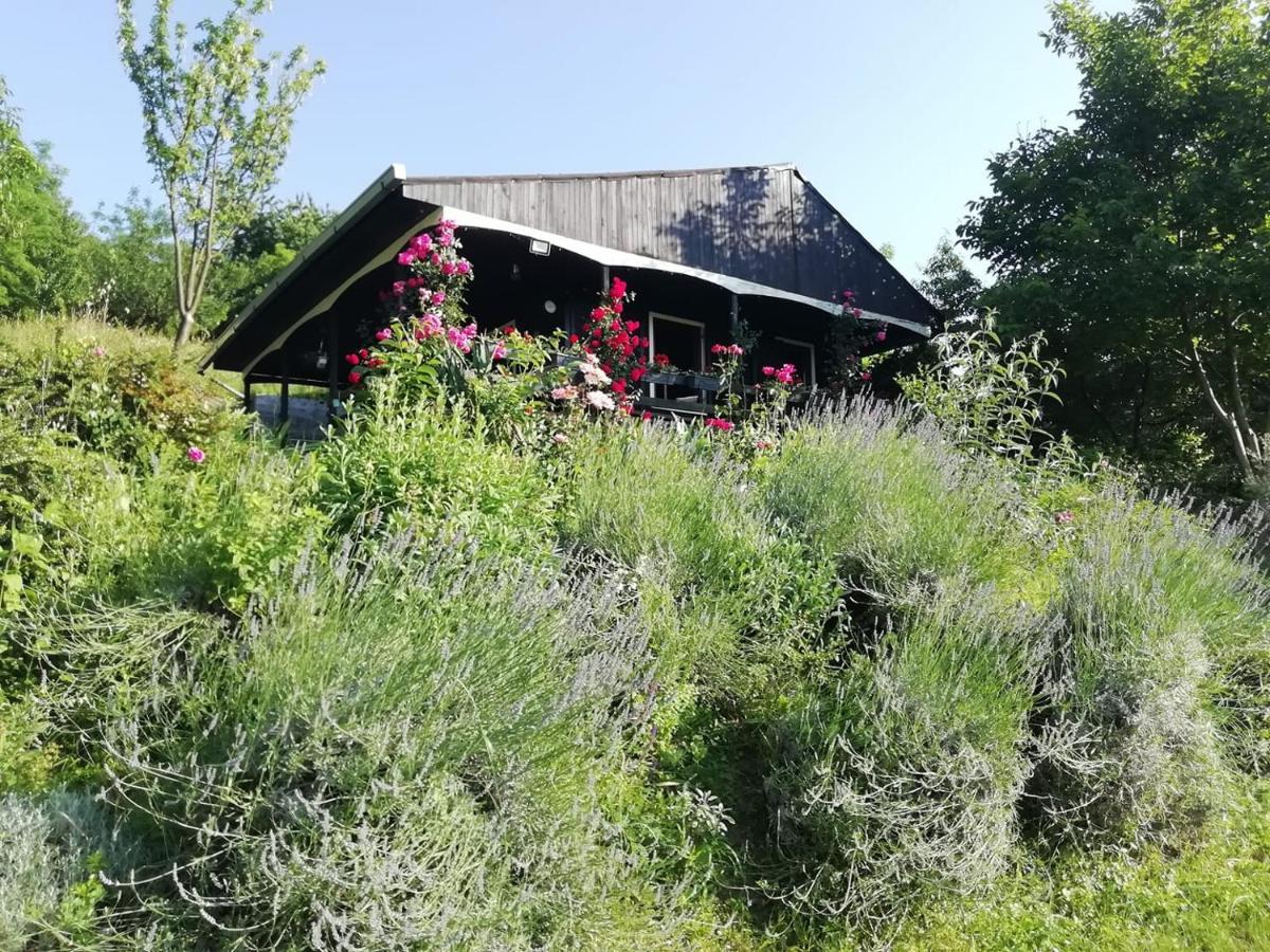 Baranja Black Hill'S Gajic Zewnętrze zdjęcie