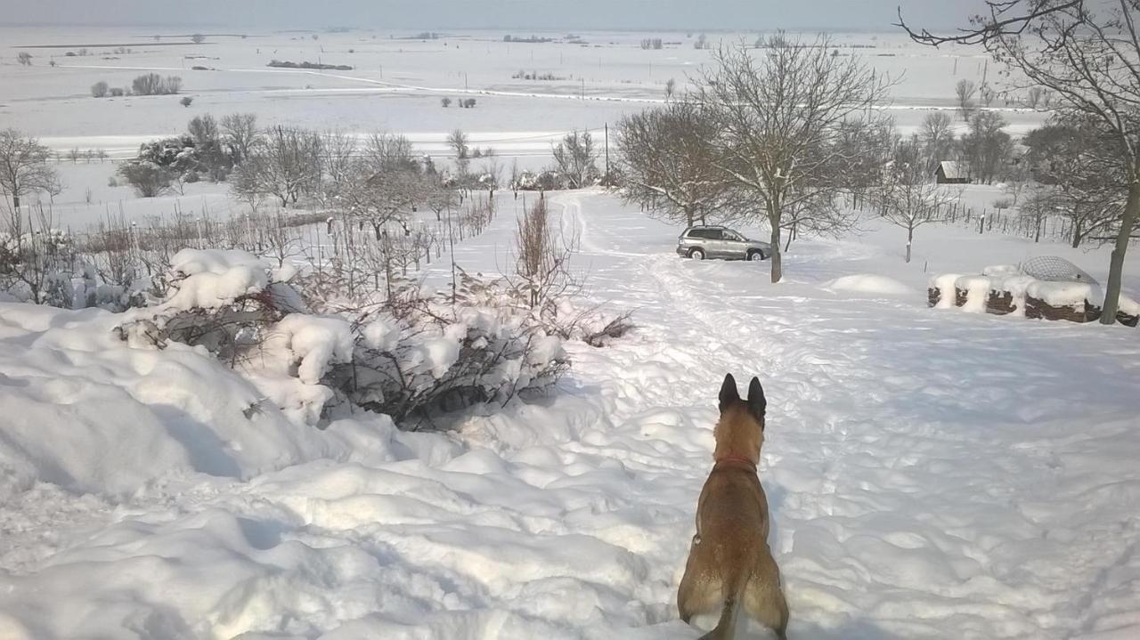 Baranja Black Hill'S Gajic Zewnętrze zdjęcie