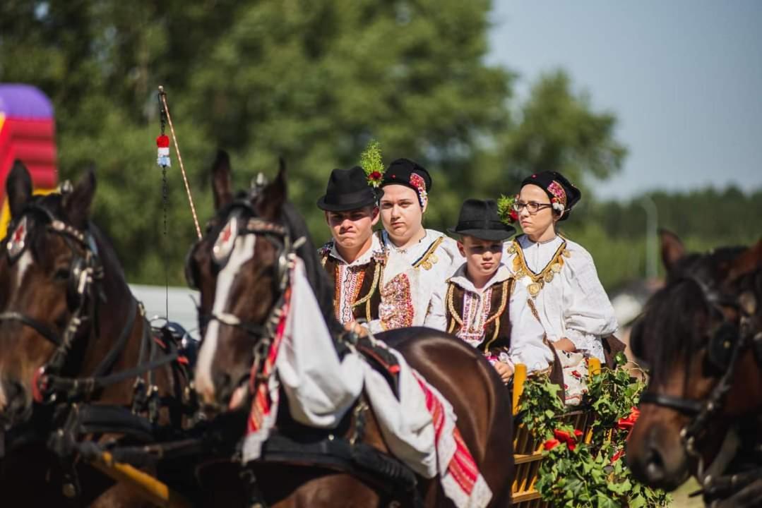 Baranja Black Hill'S Gajic Zewnętrze zdjęcie