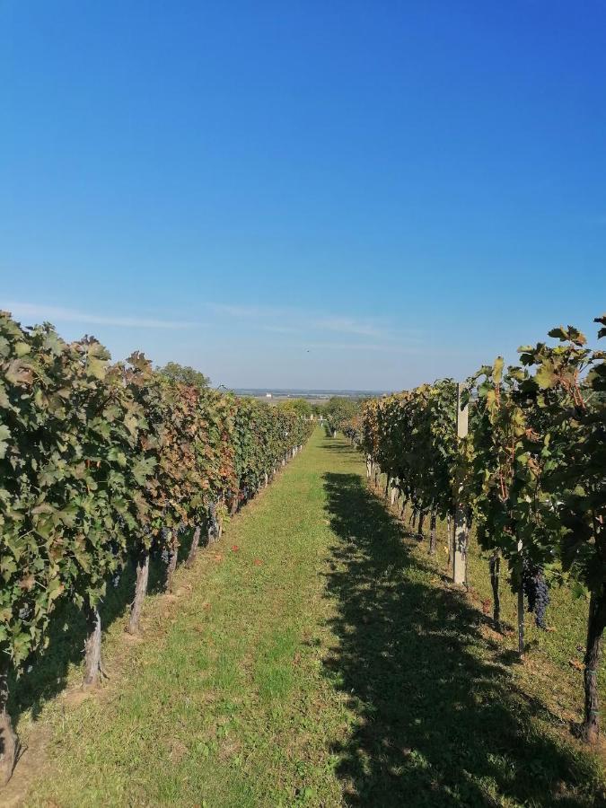Baranja Black Hill'S Gajic Zewnętrze zdjęcie